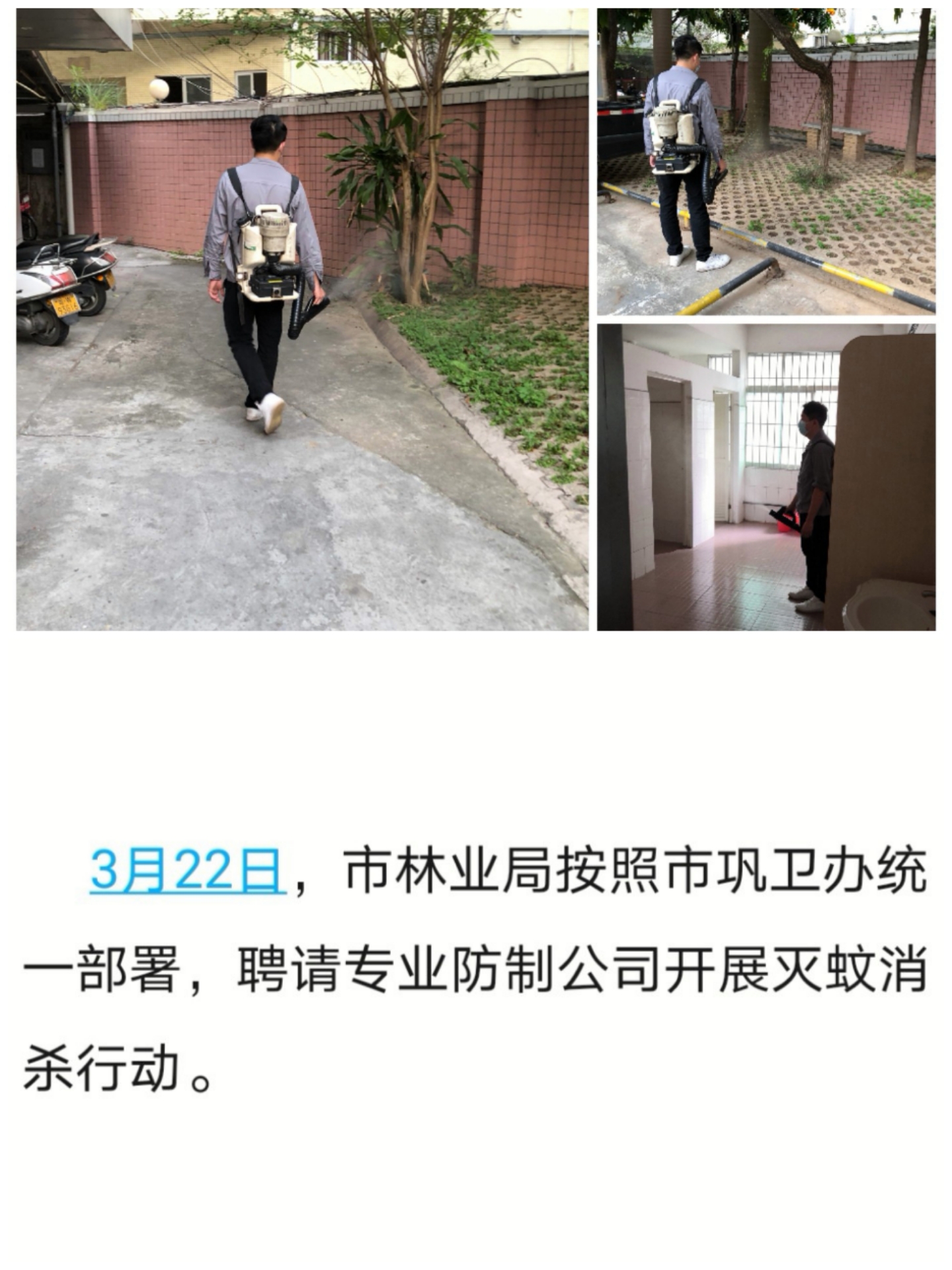 市林业局巩卫每日动态20210322.jpg