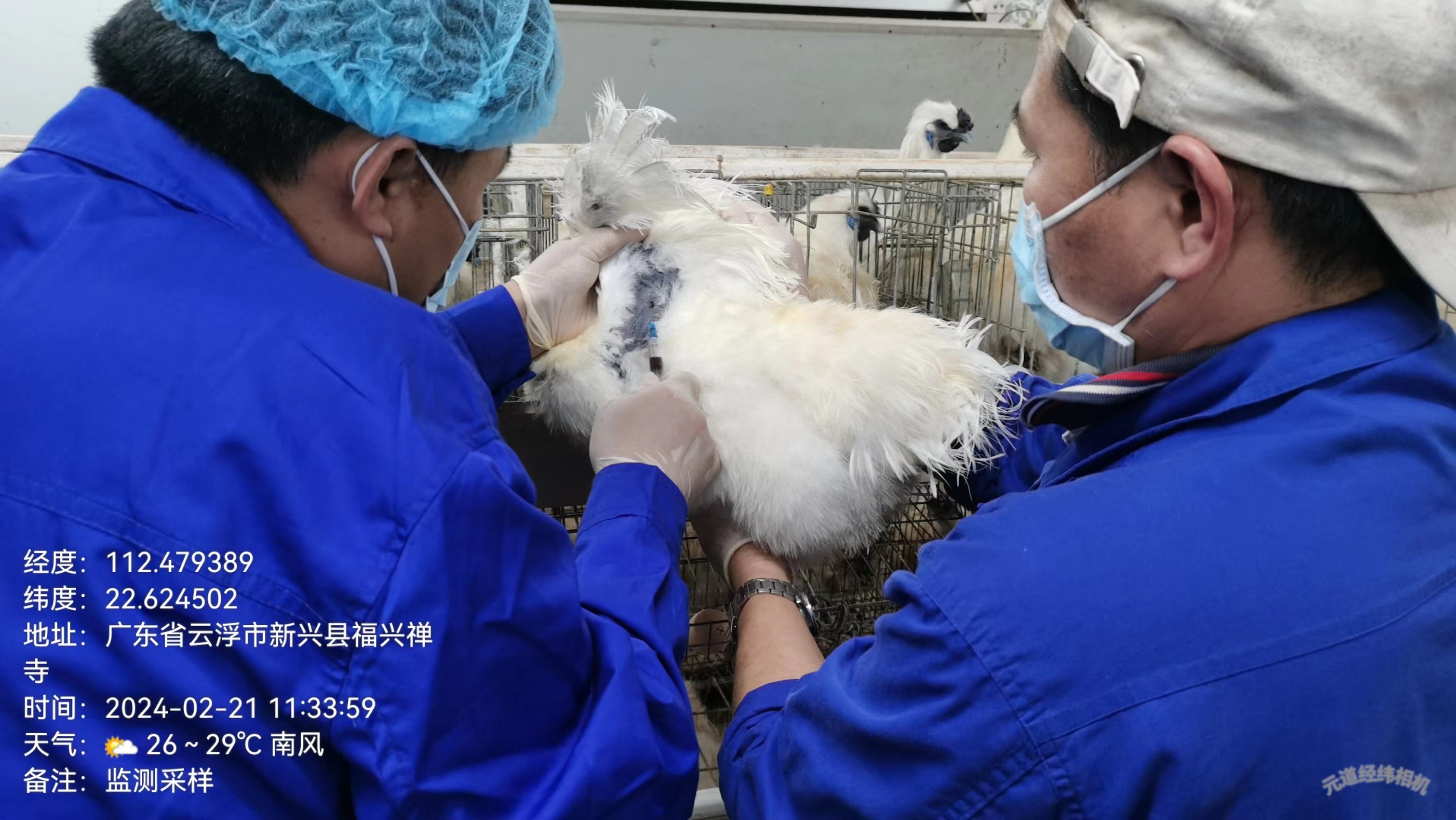 图片3.jpg
