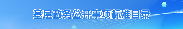 基层政务公开事项标准目录